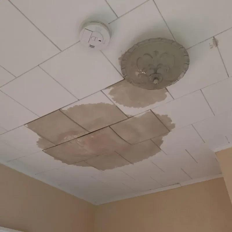 Ceiling Water Damage Repair in Haynesville, LA